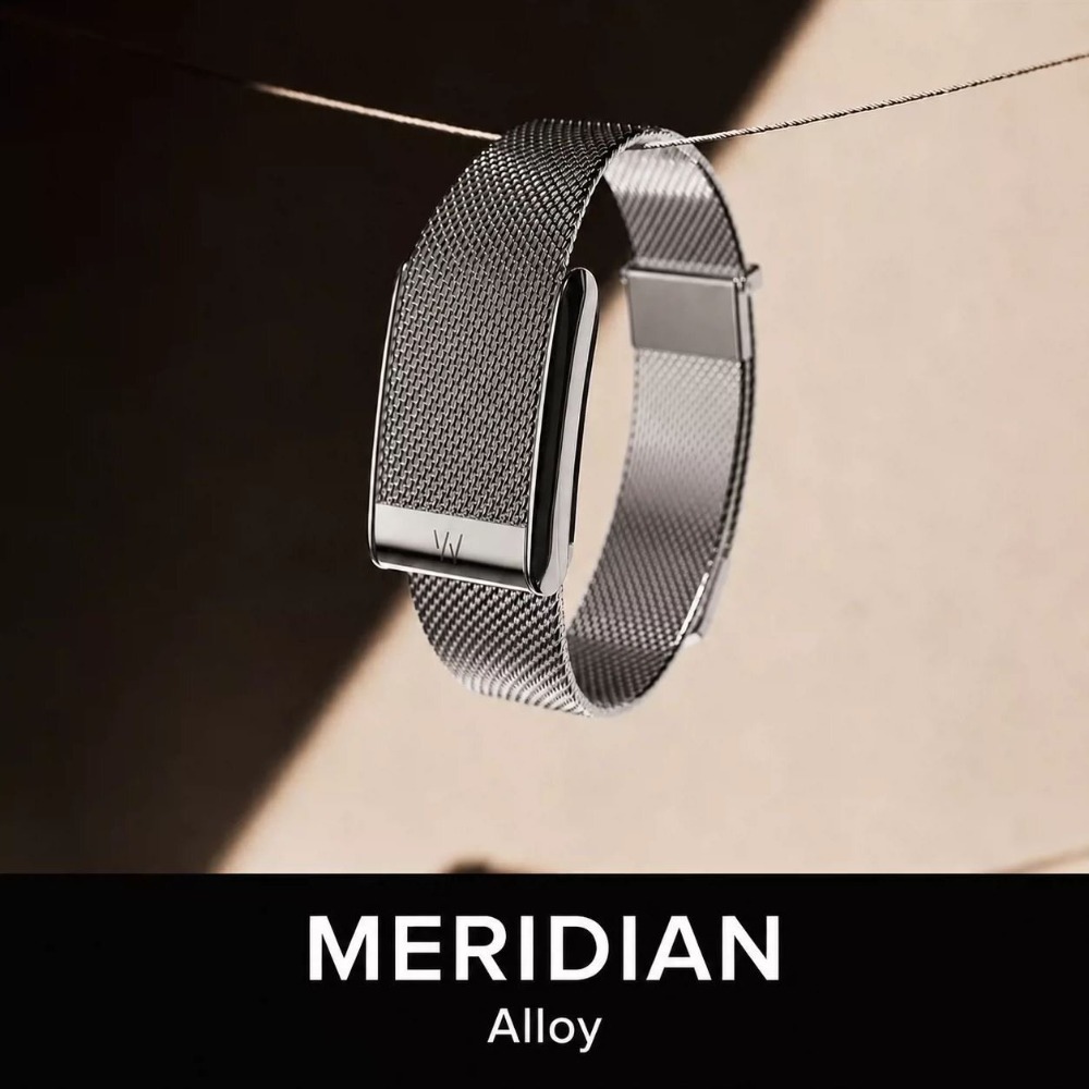 Für WHOOP 5.0 MG Milanese Edel – Mesh Strap Metal Bewertung und Preis
